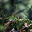 Flavin Orlando - Sunlight Shower