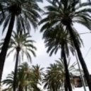 Coson - Mulholand Drive