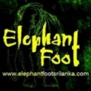 Elephant Foot - Ali Adiya