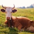 michaelnewth - Been Waiting For This