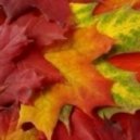 Andrea Fissore - Herbst Farben