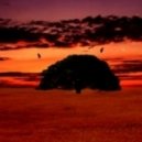 Geo_b presents - \'\'Uplifting -Trance mix .. vol. 107\'\' ()