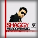 Shaggy - Mr. Boombastic (DJ Haipa & DJ Alex Pushkarev Remix)