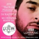 AVH - The Funk Phenomena (Dj Kapuzen vs Mr. Deemma Mashup)