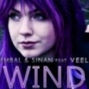 Gimbal & Sinan feat. Veela - Windfields