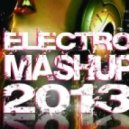 Dj Flex - Electro Mashup 2013 ()