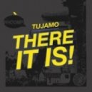 Tujamo vs. Cerla ft. QiDD - There it is Girl (Temciuc Mashup)