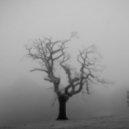 Phaeleh & Clubroot - Unharmed