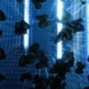 Nanobyte - Another Promise ()