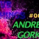 Dj Andrey Gorkin - Club Things #004