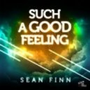 Sean Finn, Bastian Van Shield - Such a Good Feeling (Dirty Zen & RockDave Mash-Up)