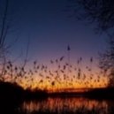 Patrick Oliwka - Tranen der Sonne