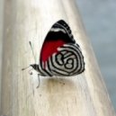 Freak Strano - The Butterfly Effect (Bet Remix)