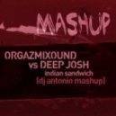 Orgazmixound vs Deep Josh - Indian Sandwich (DJ Antonio Mashup)