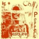 Red Hot Chilli Peppers - By The Way (eSQUIREs DiscoLoop Remix)