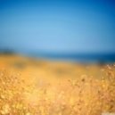Alex Diversity - Deep Summer Thoughts 2
