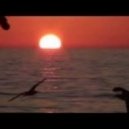 Wach - See You Soon