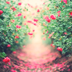 DJ Killer - Promise Me