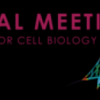 Lex Lutter - Eruption