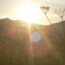 Band Of Horses - The Funeral