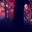 2 Senses - Chasing Shadows ()