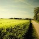 DJ Disclorer - Summer Day