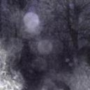 Kåm∆nd¡ - Distortion Wolf