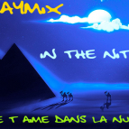 raymix - In the nite