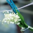 K4DJ - Right in the boot