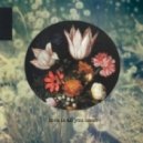 Birgit Fischer - Love Is All You Need