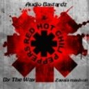 Red Hot Chilli Peppers & Audio Bastardz - By The Way (Zavala mash-up)