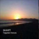 ShanTT - Forgotten Fortune