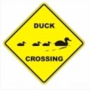 Erik Santos - Duckey