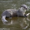 Aurel Den Bossa - Otter Song (Original Mix)