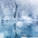 Aerial State - Cold Winter Nights