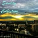 Catching Flies - Sunrays