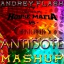 Swedish House Mafia vs. Christopher S - Antidote