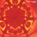Boards of Canada - Roygbiv
