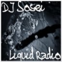 DJ Sosei - Liquid Radio ()