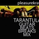 Pleasurekraft - Tarantula (Guitar Beats Breaks Mix)