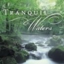Haakon V - Tranquil Waters