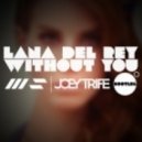 Lana Del Rey - Without You