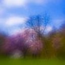 Oliver Lieb - Springtime