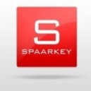 Spaarkey - Success ()