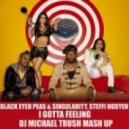 Black Eyed Peas & Singularity, Steffi Nguyen - I Gotta Feeling (DJ Michael Trush mash up)