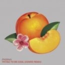Pheonix - Trying To Be Cool (Conro Remix)