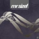 Mr Sizef - Street, Snow And One Thousand Cups Of Strong Coffee (Trilapse Edit)