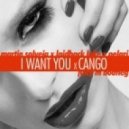 Martin Solveig & Laidback Luke Vs. Pelari - I Want Can go