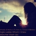 Remady & Manu-L ft J-Son vs. Gotye ft Klimbra - Single Ladies Whom I Knew (Searcher Mash Up)