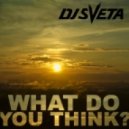 DJ Sveta - What Do You Think? (2013)